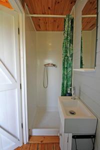 uma casa de banho branca com um chuveiro e um lavatório. em Tiny House on isolated farm by the Cornish Coast em Bude