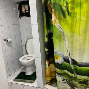 a bathroom with a toilet and a shower curtain at Beverly's Place in New Amsterdam