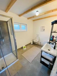 a bathroom with a shower and a toilet at Chata Cérov in Púchov