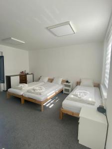 ein Zimmer mit 2 Betten und einem Sofa darin in der Unterkunft Penzion Puk 