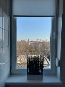 a window with a window sill with a view at Olaszrizling Apartman in Veszprém