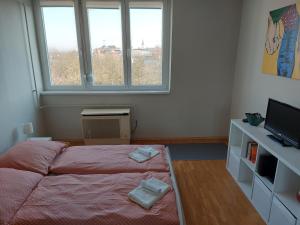 una camera con letto, TV e finestra di Olaszrizling Apartman a Veszprém