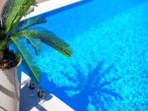 a palm tree sitting next to a blue swimming pool at Villa Lemily in Matulji