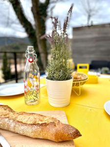 uma mesa com um pão e uma garrafa e uma planta em Maison avec piscine à Lacoste em Lacoste