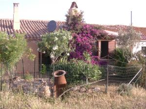阿格林杜的住宿－Tipico stazzo splendida vista mare，紫色花房前的围栏