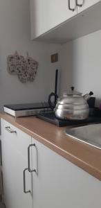 un bancone della cucina con una pentola sopra di Casa Titti. Intero Appartamento - Fossacesia a Fossacesia