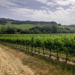 Paesaggio naturale nelle vicinanze della casa vacanze