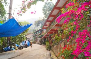 una strada con fiori sul lato di un edificio di Yumasham Camping a Darjeeling