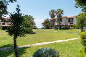 スカラ・フォルカスにあるF & B Summer Collection - Kassandra - Fourkaの建物前のヤシの木がある公園