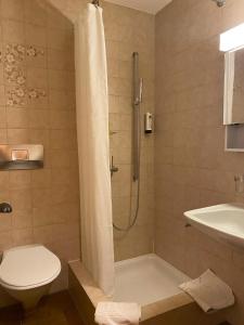 Gallery image of Petit Steffani Bed & Breakfast in St. Moritz