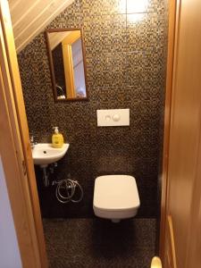 a bathroom with a toilet and a sink and a mirror at Lesnoj holiday in Vilnius