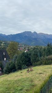 Príroda v okolí apartmánu