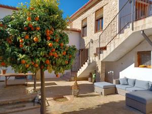 an orange tree in front of a building at Casa del Riu in Benejama