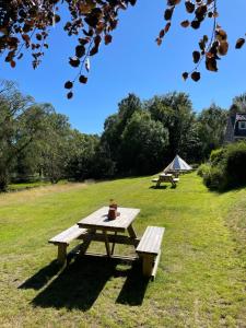 a picnic table in a field with a fire hydrant on it at The Cnoc Hotel in Beauly
