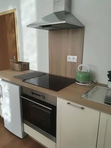 a kitchen with a stove and a stove top oven at Diamond residence in old town in Bratislava