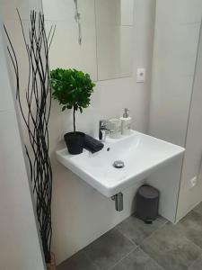 a bathroom with a white sink and a potted plant at Diamond residence in old town in Bratislava