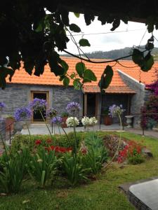 Zahrada ubytování Casa dos Gatos