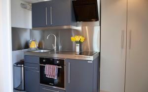 uma pequena cozinha com um lavatório e um fogão em Whashton Studio em Richmond