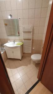 ein Badezimmer mit einem Waschbecken, einem WC und einem Spiegel in der Unterkunft Princess and Prince Apartman in Budapest