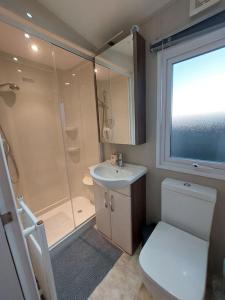 uma casa de banho com um chuveiro, um WC e um lavatório. em Drumrammer Farm Lodge em Ahoghill