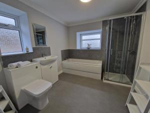 ein Badezimmer mit Toilette, Waschbecken und Dusche in der Unterkunft Lewis Gethin House, Newly renovated cottage sleeps 9, close to bike park wales in Merthyr Tydfil + 12 Fotos