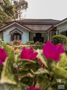 ein Haus mit rosa Blumen davor in der Unterkunft Kithulvilla Holiday Bungalow in Kitulgala