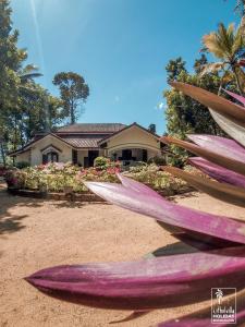 a group of surfboards sitting on the ground in front of a house at Kithulvilla Holiday Bungalow in Kitulgala