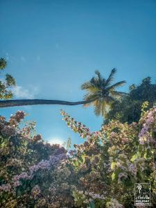 a palm tree and flowers in front of a blue sky at Kithulvilla Holiday Bungalow in Kitulgala