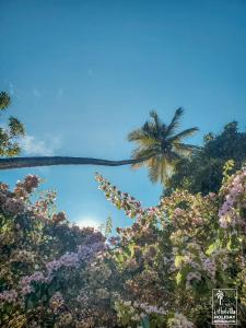 a palm tree and flowers in front of a blue sky at Kithulvilla Holiday Bungalow in Kitulgala