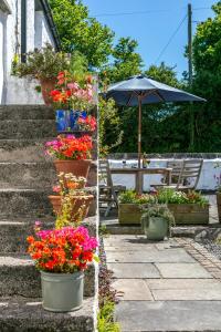 a patio with pots of flowers and an umbrella at East Trewent Farm in Pembroke