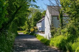 a dirt road next to a white building at East Trewent Farm in Pembroke