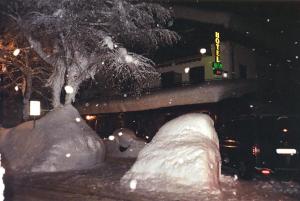 Albergo Martinet pozimi