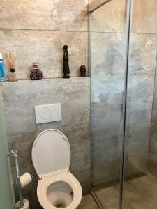 een badkamer met een toilet en een glazen douche bij Oddingsplace in Hardenberg