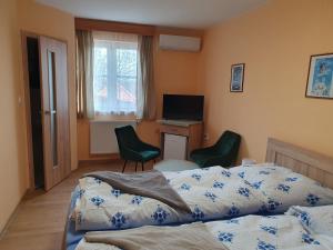 1 Schlafzimmer mit 2 Betten, einem Schreibtisch und einem TV in der Unterkunft Pension Zelený strom in Mikulov