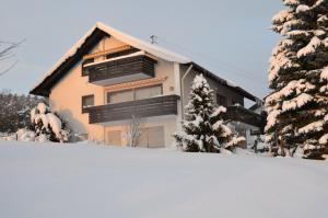 uma casa com neve em frente em 4-Sterne Wohnung im Erdgeschoss em Frutenhof