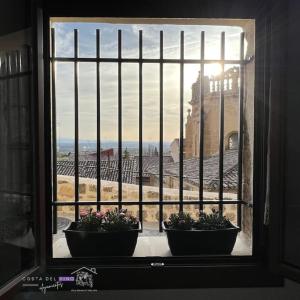 deux plantes en pot assises sur un rebord de fenêtre dans l'établissement Apartamento El Mozo, à Labastida