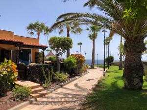 a palm tree next to a house with a sidewalk at Rocas del Mar with heated Pool and double Terrace in Costa Del Silencio