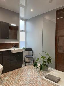 La salle de bains est pourvue d'un lavabo, d'une douche et d'une plante. dans l'établissement Rose Villa, à Oban