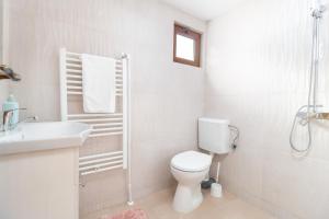 VidraにあるCasa de Vacanta Cascadaの白いバスルーム(トイレ、シンク付)