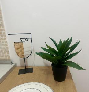 uma planta sentada numa mesa ao lado de uma lâmpada em Luxury apartment in the center of Xanthi em Xanthi