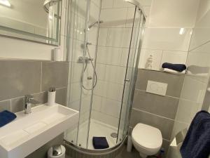 a bathroom with a shower and a toilet and a sink at Ferienhof Felix in Scharbeutz