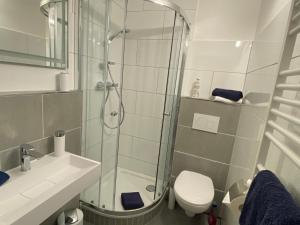 een badkamer met een douche, een toilet en een wastafel bij Ferienhof Felix in Scharbeutz