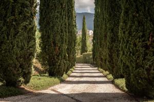 een pad door een rij bomen in een tuin bij Il Casale - Umbria Top Rent in Massa Martana