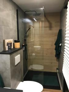 une salle de bain avec une douche avec des toilettes et un lavabo dans l'établissement Terrasse de Malmedy 348, à Malmedy 9 autres photos