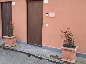 Fotografie z fotogalerie ubytování Butterfly v destinaci Bagnoregio