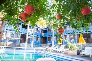 einen Pool mit Stühlen und einen Baum mit Granatapfeln in der Unterkunft Olympos Çınar Hotel in Olympos