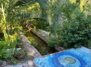 een zwembad in een tuin met een beek bij La casa de Tania in San Marcos Sierras