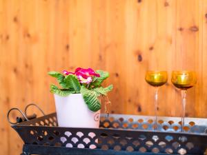Minuman di Apartment Reinskopf-1 by Interhome +34 gambar
