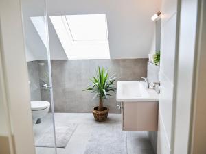 a bathroom with a toilet sink and a potted plant at Apartment Landliebe by Interhome in Helden