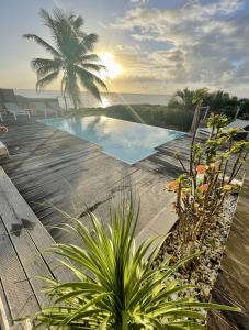 a swimming pool with a palm tree and the ocean at Villa Estheria in Sainte-Anne